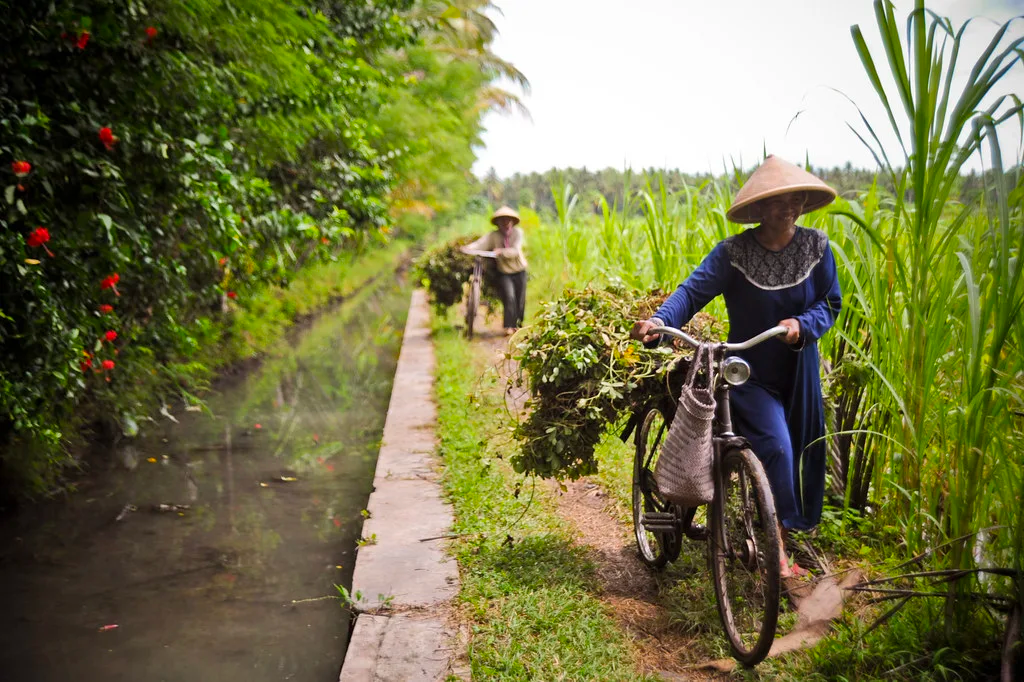 Farmers transport crops beside an ADB financed irrigation canal in Yogyakarta, Indonesia. Irrigation is essential to quality farming. ADB has supported many irrigation and agricultural projects throughout Indonesia.